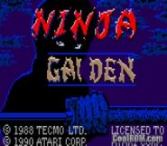 Ninja Gaiden.zip